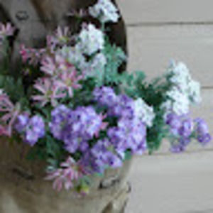 Meet your Posher, Holly